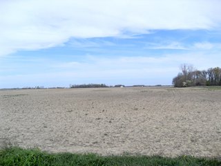 <li> 342.76 Acres with 333 +- acres of high quality cropland in excellent condition.
<li> 9+- Acres roads, ditches, and woodland.
<li> 6 tax parcels offered in (2) farms being mainly contiguous.
<li> Frontage on numerous Randolph County roads and easy access to US 27, SR 36 and only 15 miles north of I-70.
<li> Easy operation with generally rectangular fields.
<li> Premium Soils with the predominant soils being Patton Silty clay loam, Fincastle-Crosby, and Celina silt loams.
<li> Owner will cooperate in buyerÃƒÆ'Ã‚Â¢ÃƒÂ¢Ã¢â‚¬Å¡Ã‚Â¬ÃƒÂ¢Ã¢â‚¬Å¾Ã‚Â¢s tax exchange.
<li> Farms have been owned by same Estate for over 50 years and are under excellent operations and are in very good conditions.
<li> 20 Miles to (2) Ethanol Plants, Strong local grain markets.
<li> Offered as (2) separate farms.
<li> USDA payment of $20/acre (2012).
<li> Offered at:
		$8,450 /Acre or
		FARM 1: $1,335,100.00
		FARM 2:  $1,561,222.00
<br>
All offers will be subject to a FIRST RIGHT OF REFUSAL per will of Donamae Banning. - Prime Indiana Cropland - 342.76 Acres Offered in 2 Separate Farms